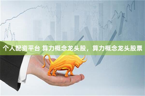 个人配资平台 算力概念龙头股，算力概念龙头股票