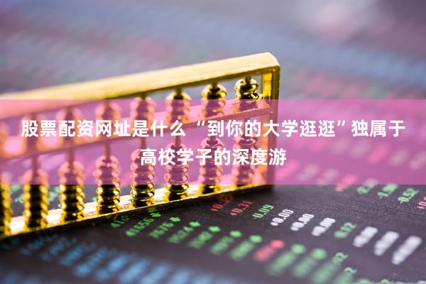 股票配资网址是什么 “到你的大学逛逛”独属于高校学子的深度游