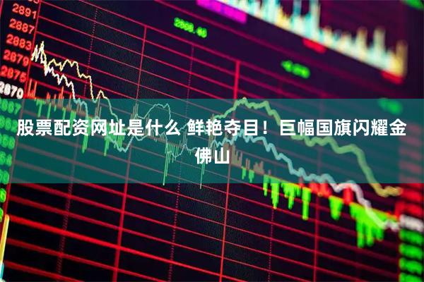 股票配资网址是什么 鲜艳夺目！巨幅国旗闪耀金佛山