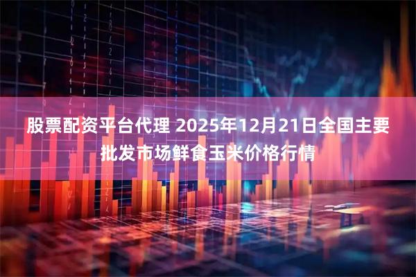 股票配资平台代理 2025年12月21日全国主要批发市场鲜食玉米价格行情